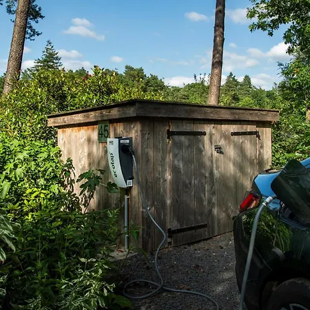Buitenplaats Sprielderbosch 45 “skogen”